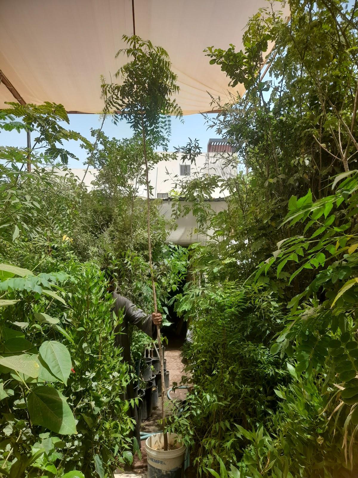 مركز الخطوة الناجحة للأطفال