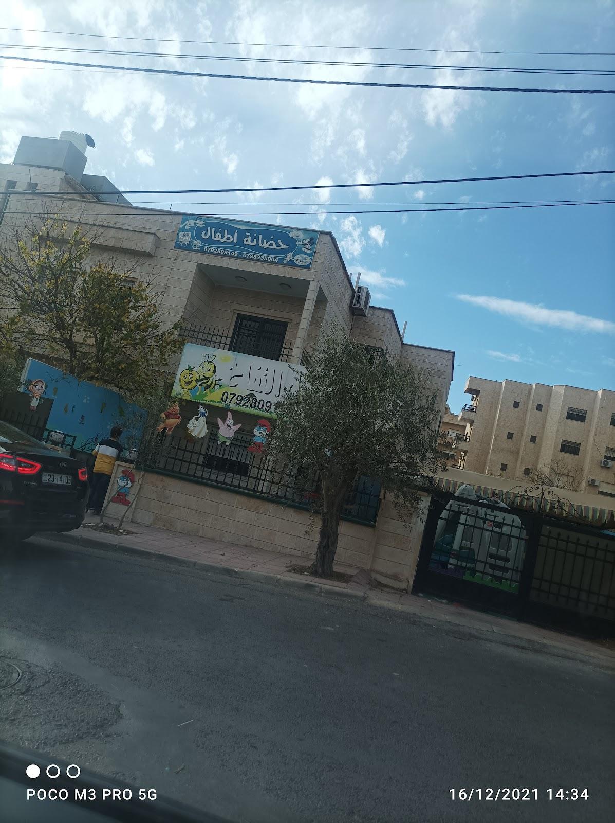 حضانة نحل التفاح