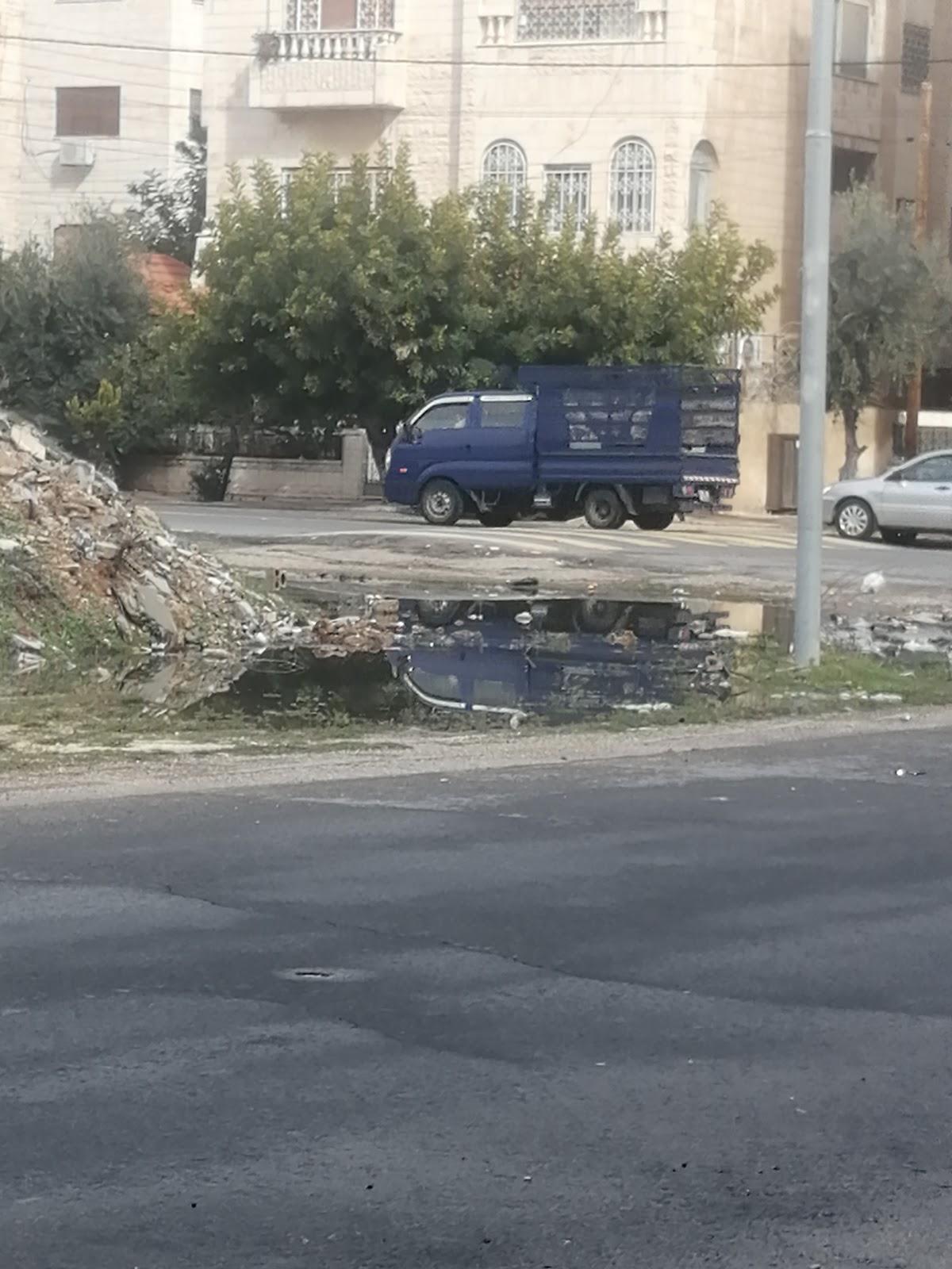 حضانة تسالي