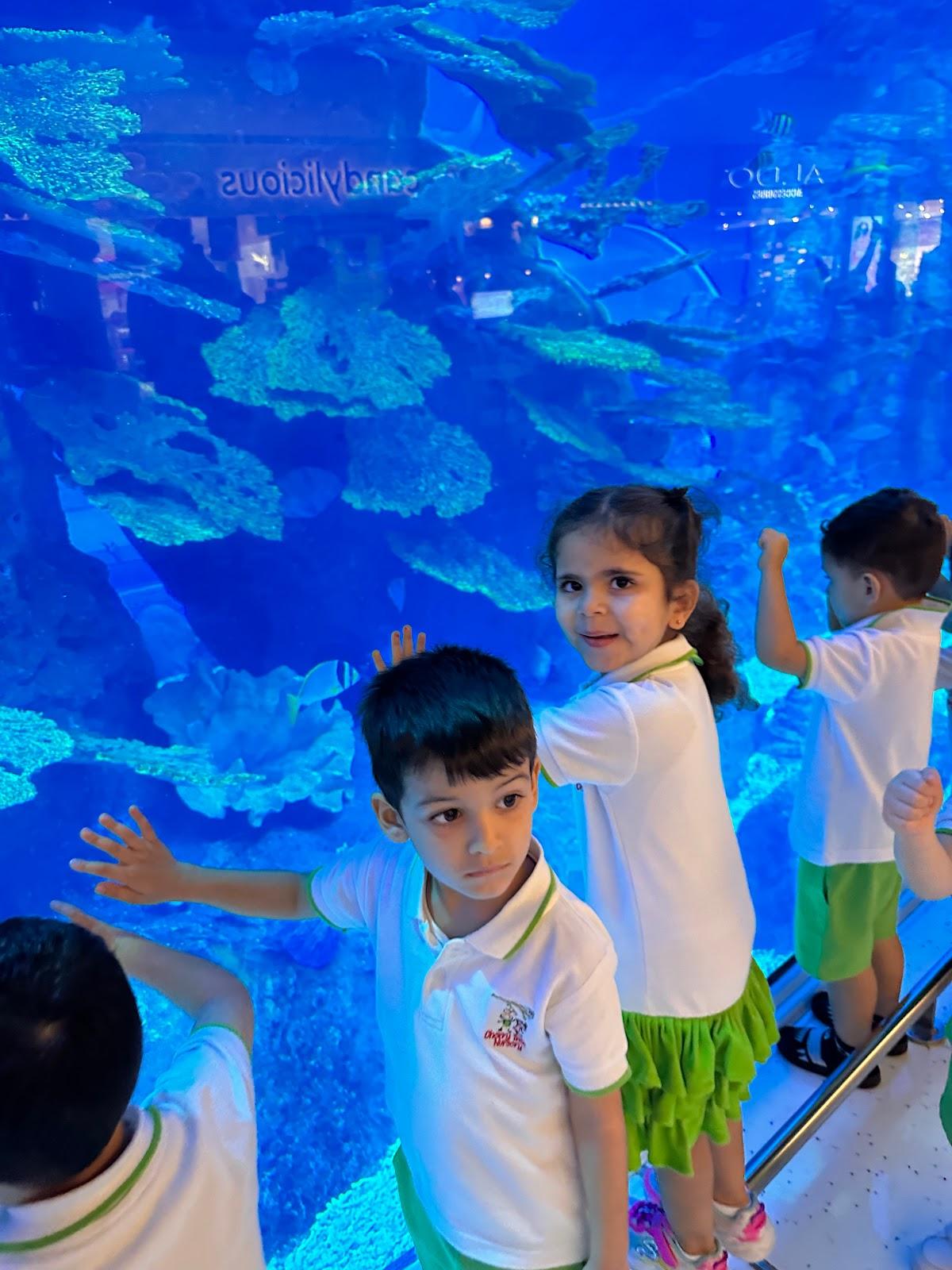 Cherry Tree Nursery - Damac Hills 2 - Dubai facility photo