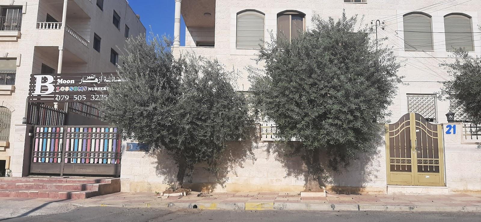 Moon Blossoms Nursery